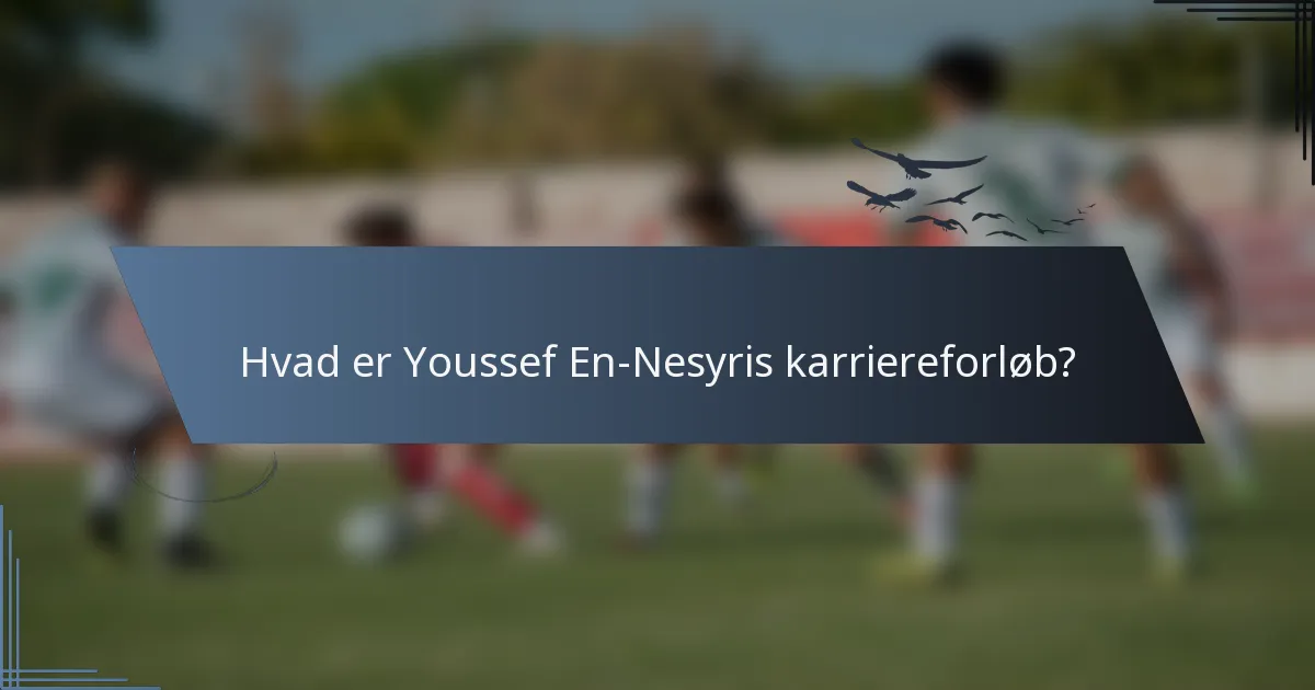 Hvad er Youssef En-Nesyris karriereforløb?