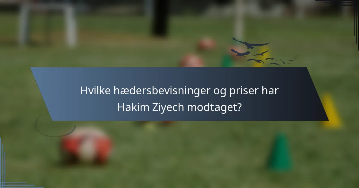 Hvilke hædersbevisninger og priser har Hakim Ziyech modtaget?