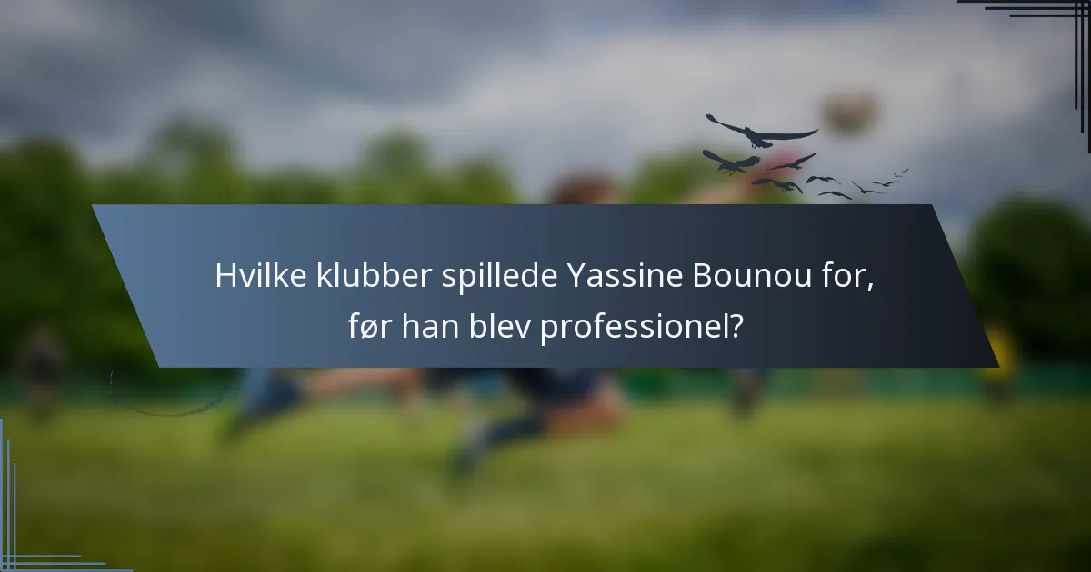 Hvilke klubber spillede Yassine Bounou for, før han blev professionel?