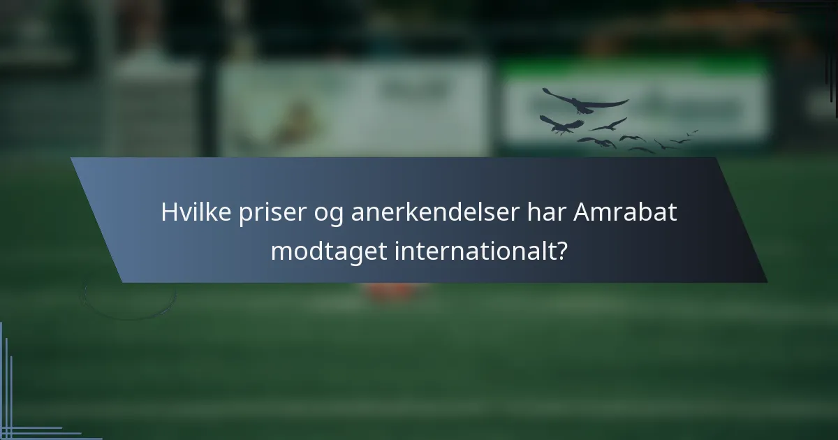 Hvilke priser og anerkendelser har Amrabat modtaget internationalt?