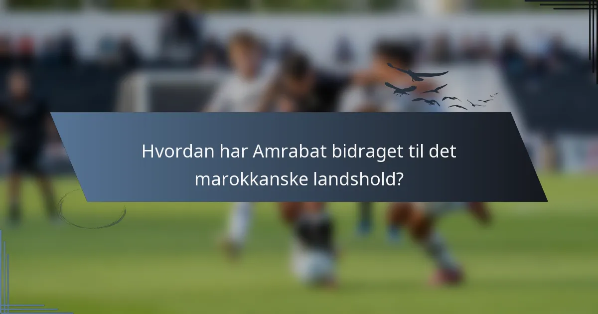 Hvordan har Amrabat bidraget til det marokkanske landshold?